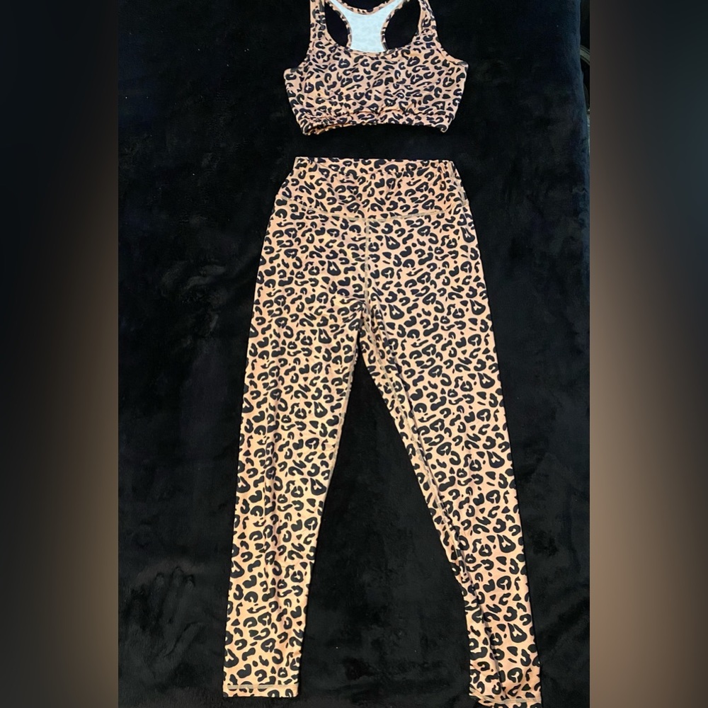 Workout Pant and Bra Top